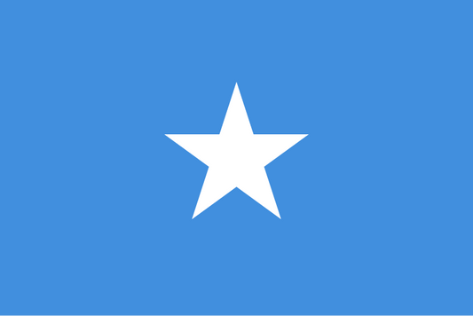 Somalia Flagga